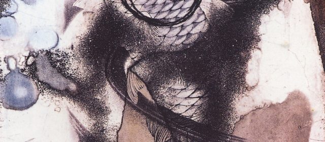 Fish   魚樂