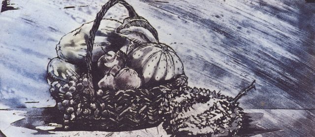 Fruit    水果